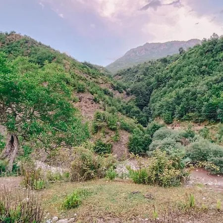 Te Baca Qerim Lekbibaj