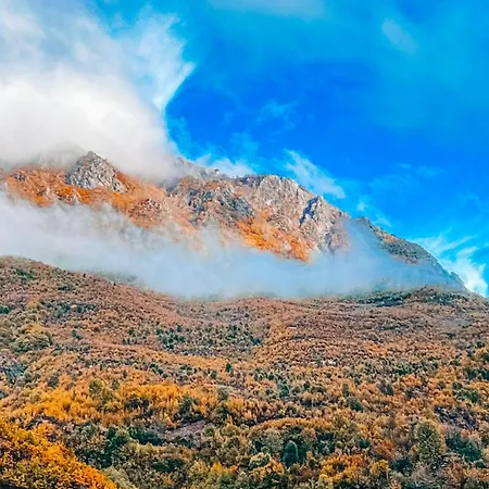 Te Baca Qerim * Lekbibaj