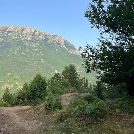 Te Baca Qerim Apartment Lekbibaj