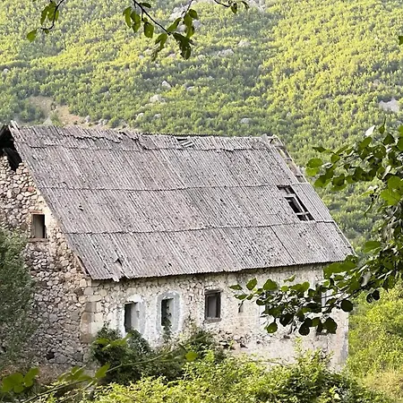 Te Baca Qerim Lekbibaj
