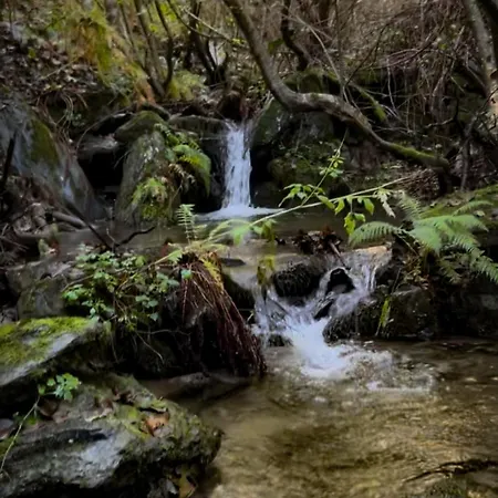 Te Baca Qerim Lekbibaj