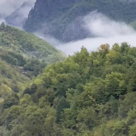 Te Baca Qerim アパート *